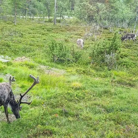 Kauniskelo B By Interhome 度假居 *