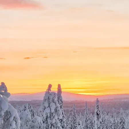 Ferienhaus Kauniskelo B By Interhome *