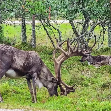 Hébergement de vacances Kauniskelo B By Interhome Saariselkä