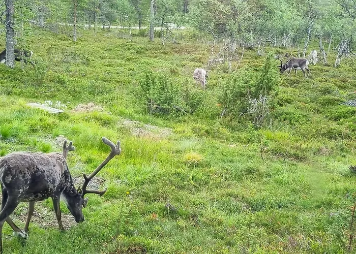 Kauniskelo B By Interhome Дом отдыха *